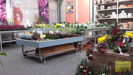 Blumenhaus Klingmann, Blumenladen in Meckesheim