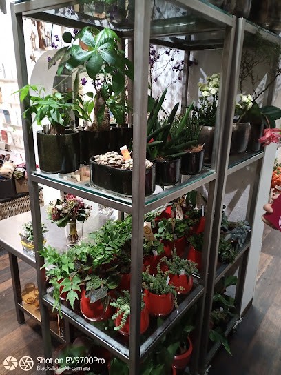 Blumen Und Dekoration, Markus Krieger, Blumenladen in Walsrode