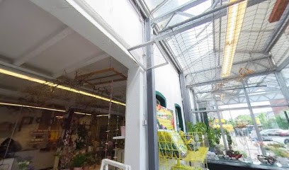 Kornblume - Landhandel und Floristik Aymans GmbH, Blumenladen in Kevelaer