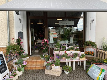 Landblume, Blumenladen in Werder