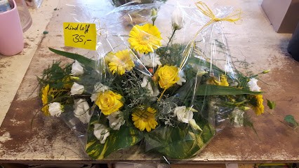 Blumen & Pflanzen PROFiFLORA, Blumenladen in Malchow