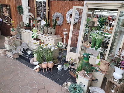 Blumen Wallgärtner, Blumenladen in Ahlen