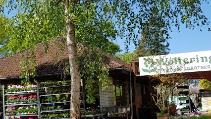 Blumen-Atelier Lauheide Walter, Blumenladen in Telgte