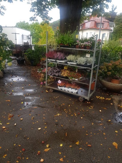 BURR Blumen-leben, Blumenladen in Geislingen