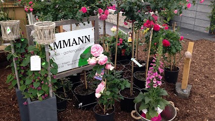 DAMMANN Floristik – Gartengestaltung, Blumenladen in Vechta
