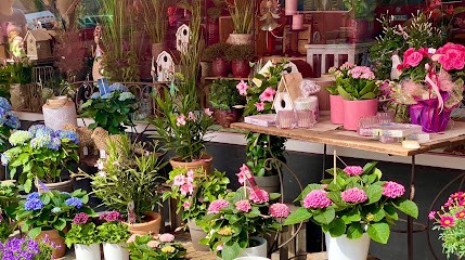 Moni's Blumenboutique, Blumenladen in Bad Hönningen