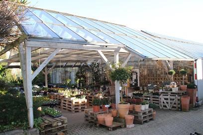 Blumen Weber, Blumenladen in Schopfheim