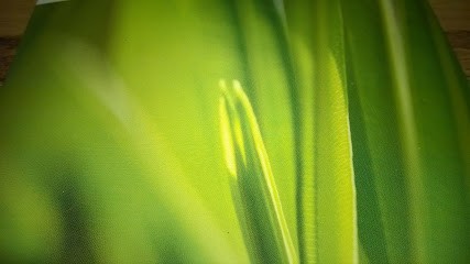 BELLISSIMA Blumen-Schlie, Blumenladen in Hannover