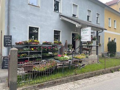 Blumenladen Löbau Gärtnerei Jacob, Blumenladen in Löbau