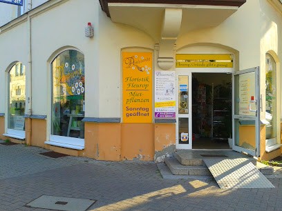 Ambiente Sylvia Kroker, Blumenladen in Jena