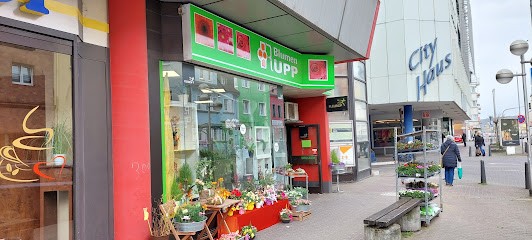 Blumen Rupp, Blumenladen in Völklingen