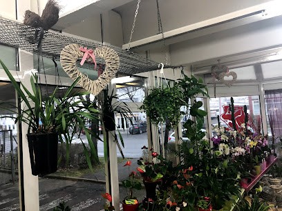 Blumenstudio Wilde Rose, Blumenladen in Reutlingen