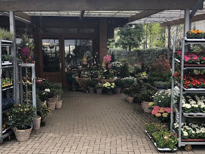 Blumen Schneider, Blumenladen in Düsseldorf