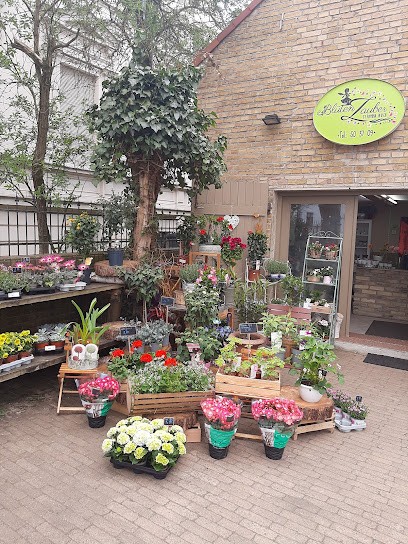 Blütenzauber By Ramona Jausch, Blumenladen in Velten