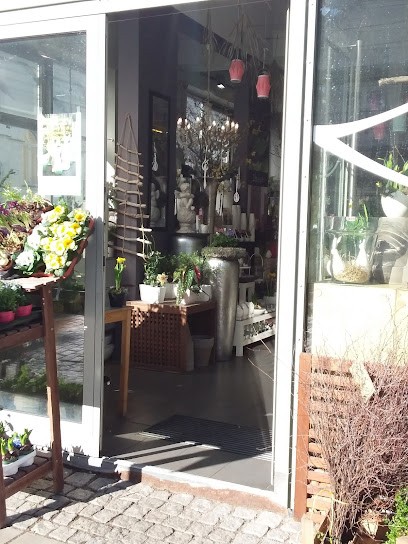 Flower Power Greifswald UG, Blumenladen in Greifswald