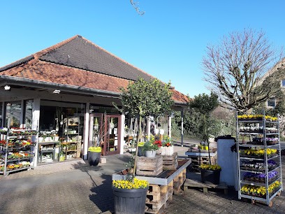 Gärtnerei Beyer Fleurop | Ibbenbüren, Blumenladen in Ibbenbüren