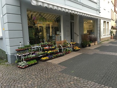 Blumen-Paradies Mehmet Canbolat, Blumenladen in Remagen