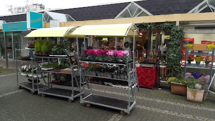 Blumen Andrea Reiprich E.K., Blumenladen in Neuwied