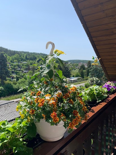 Gärtnerei-Troue Inh. Marko Zech, Blumenladen in Weyhe