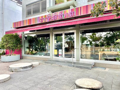 Blumenhaus Chrysanthem Hoffmann u. Hornstein GmbH, Blumenladen in Darmstadt