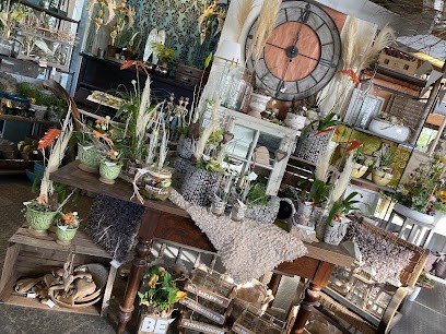 Blumen Schardt - Florales & Gestaltung, Blumenladen in Dornburg