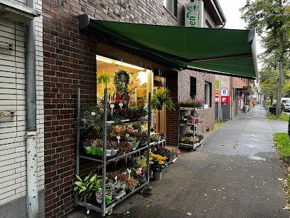 Blumen Korres, Blumenladen in Köln