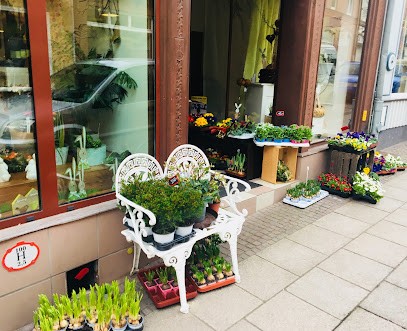 Blütenreich, Blumenladen in Uslar