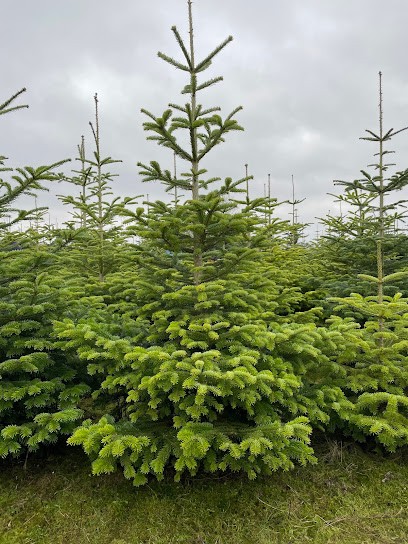 Markmann, Blumenladen in Ruhwinkel