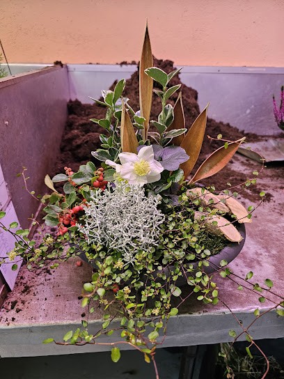 Gabriele Morat, Blumenladen in Marktleugast