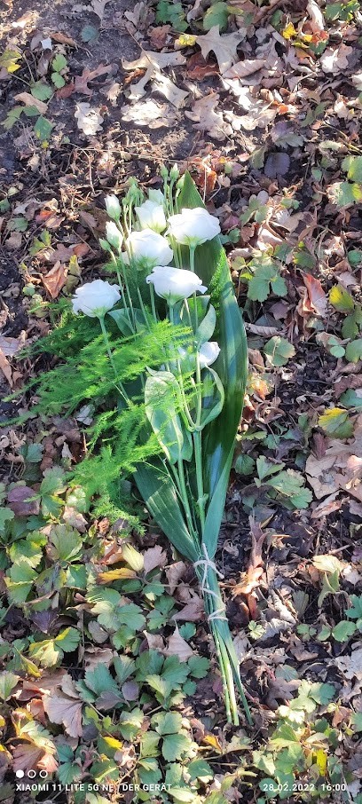 Floristik im Haus Berkelruh, Blumenladen in Vreden