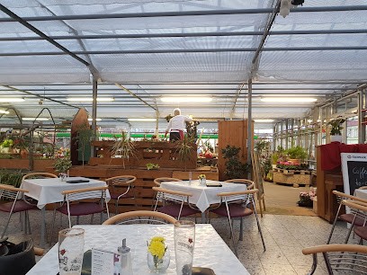 Blumenparadies G. Würke, Inh. Anette Pflug, Blumenladen in Osterburg