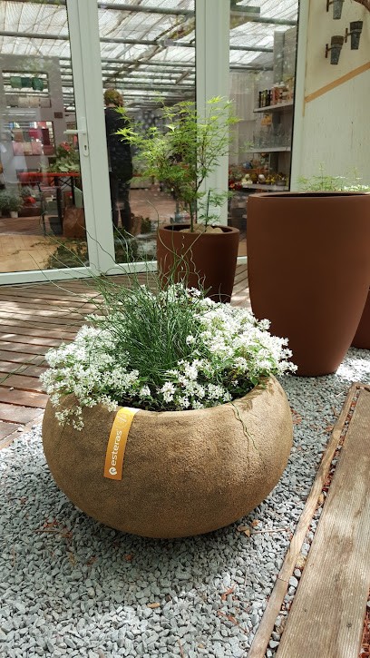 Gärtnerei Reuter, Blumenladen in Dörzbach