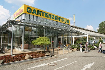 Sundflor · Blumen Handels- & Beteiligungsgesellschaft MbH, Blumenladen in Stralsund