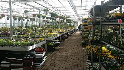 Blumen Melchers, Blumenladen in Gelsenkirchen