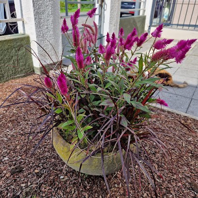 Westfälische Werkstätten GmbH, Blumenladen in Lippstadt