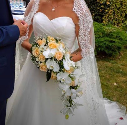 Blumenparadies Inh. Dorita Breitmoser, Blumenladen in Plau am See