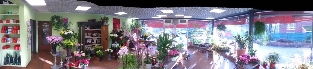 Lommen GmbH, Blumenladen in Düsseldorf