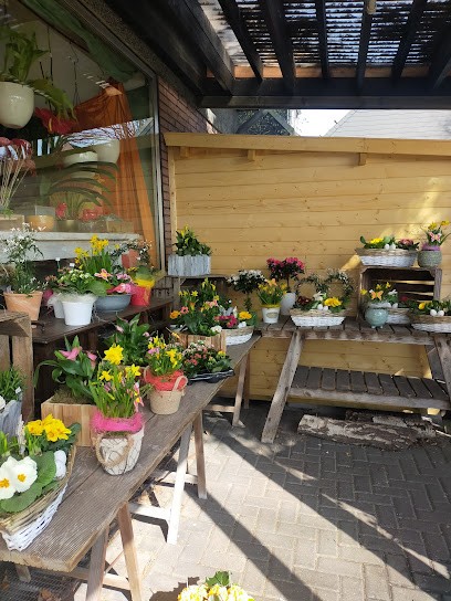 Blumen Floristik Fischer, Blumenladen in Oberhausen