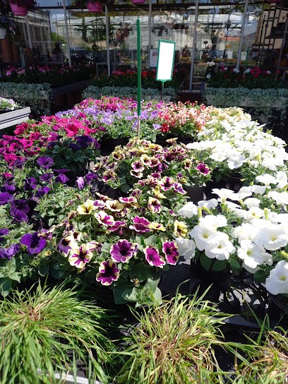 Blumen Schneider, Blumenladen in Nauheim