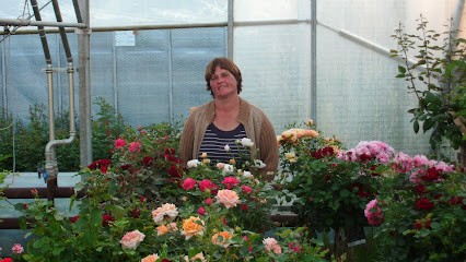 Blumenladen Ursula Müller - De Kruth Bock, Blumenladen in Garz