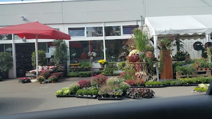 Rosenrot Floristik, Blumenladen in Hohentengen