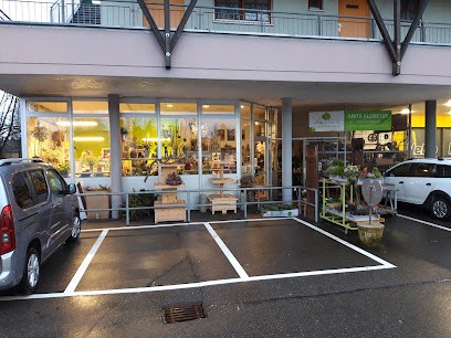 Anita's Blumengalerie, Blumenladen in Salem