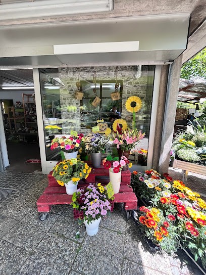 Blumen Weis, Blumenladen in Regensburg
