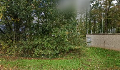 Amberger Trockenblumen, Blumenladen in Sulzbach-Rosenberg