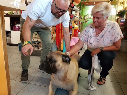 Nadines Blumenladen, Blumenladen in Mosbach