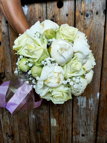 Zweigwerk Floristik Alexandra Dannenberg, Blumenladen in Köln