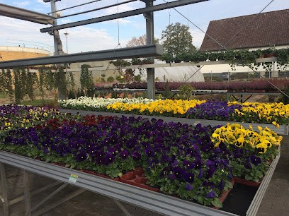 Schniggendiller Gartenbau, Blumenladen in Rietberg