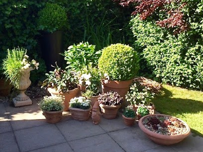 Blume + Pflanze Frauke Rector, Blumenladen in Wilhelmshaven