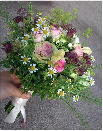 Kathleen Schoth Blumengeschäft Hanabi, Blumenladen in Stralsund