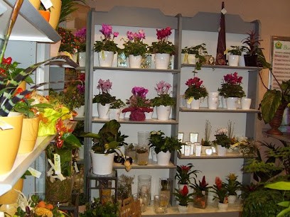 Blumenhaus Hänel, Blumenladen in Lensahn